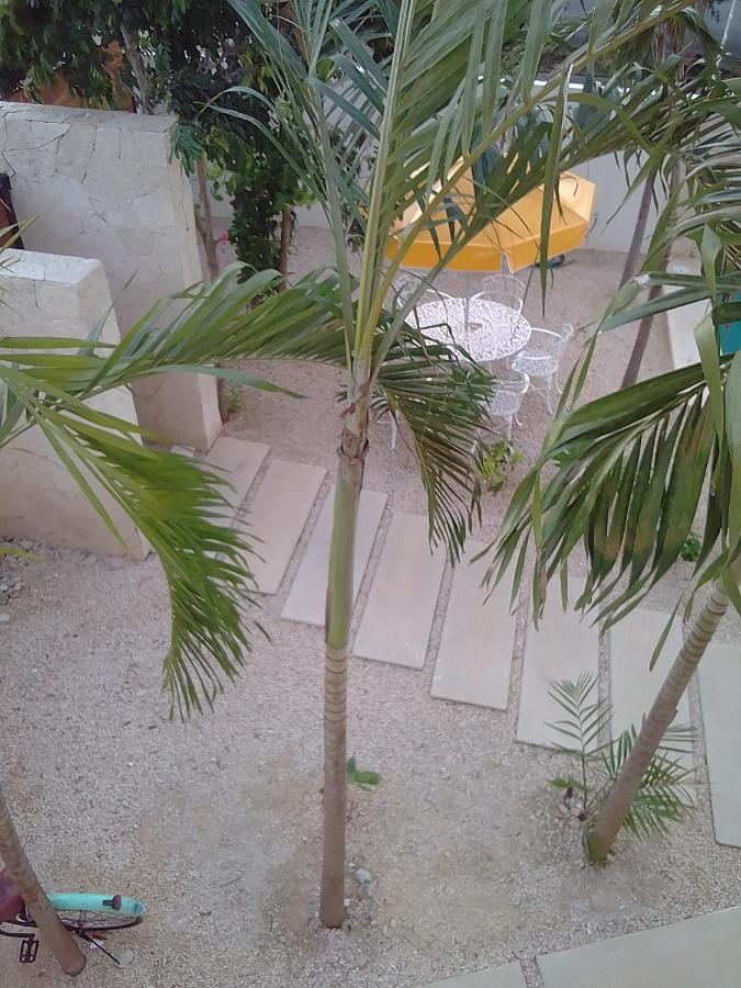 Posada Tumben Ka'A Tulum Dış mekan fotoğraf